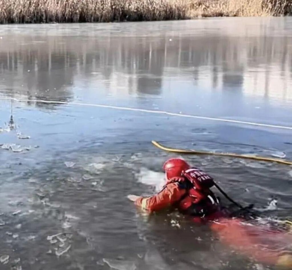 Li and the little boy she went to help were pulled from the lake by rescue crews. - Photo: Baidu
