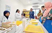 Significant decline in dengue deaths