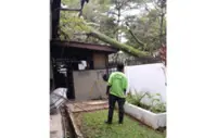 MBSJ contractor compensates houseowner after tree-felling mishap