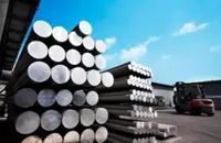 High aluminium prices to lift Press Metal earnings