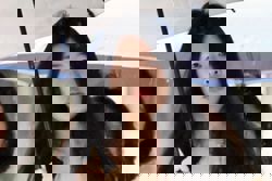 Singaporean woman fined for passing gin to driver after car crash to interfere with breathalyser test