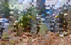 62 killed, 319 injured in Myanmar's Yangon-Mandalay highway accidents in 11 months