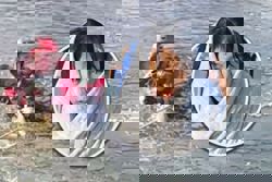 China teen girl risks life to save boy from icy lake, tells dad wet clothes are from watering cart