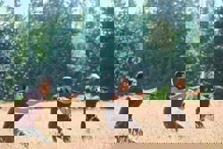 'The Hunting Party' review: Loaded for small game