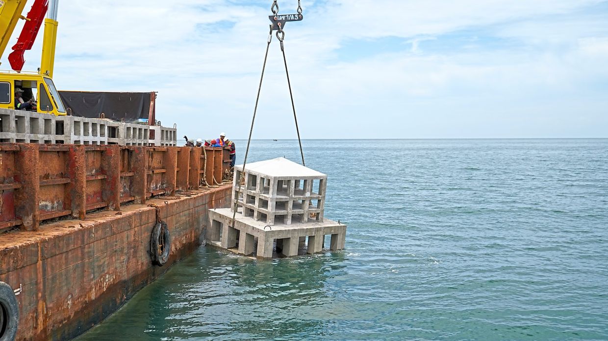 Balancing development and ecology in Penang’s southern waters 