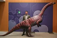 'Immense' collection of dinosaur footprints found in Italy