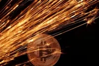 Opaque crypto schemes endanger Central African Republic state assets, report says