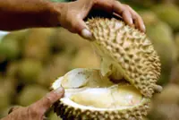 Indonesia sends first shipment of frozen durian to China