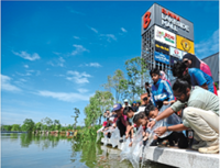 Cities in harmony with nature