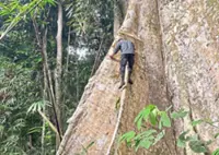 Balancing infrastructure development and environmental protection in Indonesia 