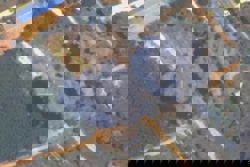 China says arms trade with Cambodia, Thailand unrelated to border conflict