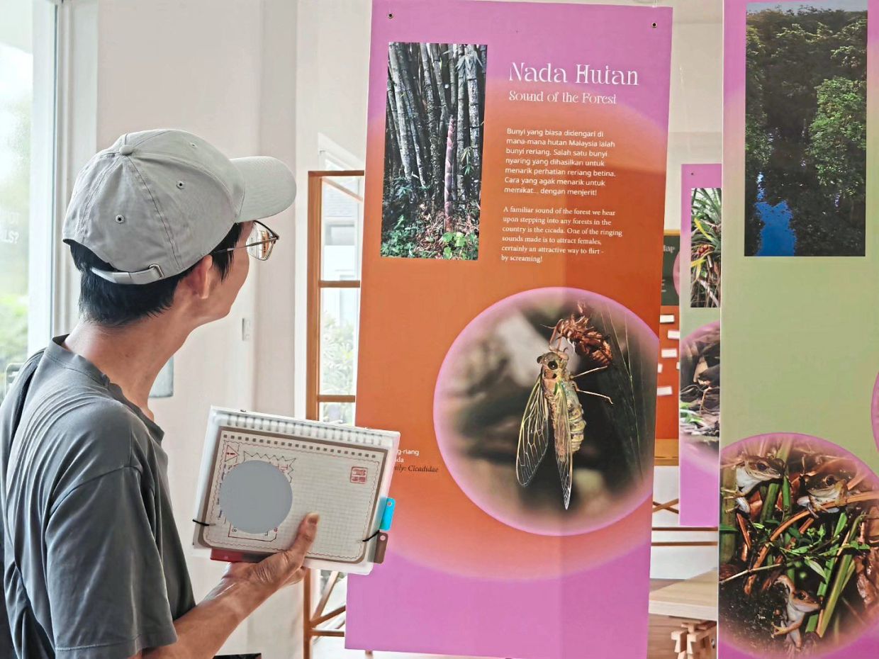 A visitor viewing the 'Fragmented-Connected' exhibition at Forest Learning Centre, Perdana Botanical Gardens in KL. Photo: Forest Learning Centre