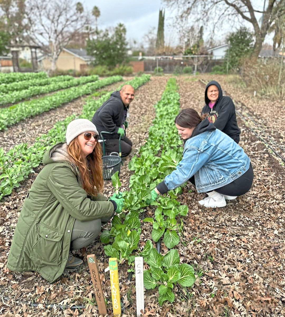 Harvesting winter greens in the garden is one of the many activities at the home.