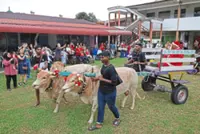 Finding love and joy while serving special children