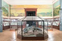 Leopold’s Congo folly unmasked