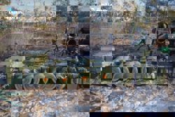 China says defence trade with Cambodia, Thailand unrelated to border conflict