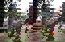 Stolen Bruce Lee statue 'returns' to Bosnia town