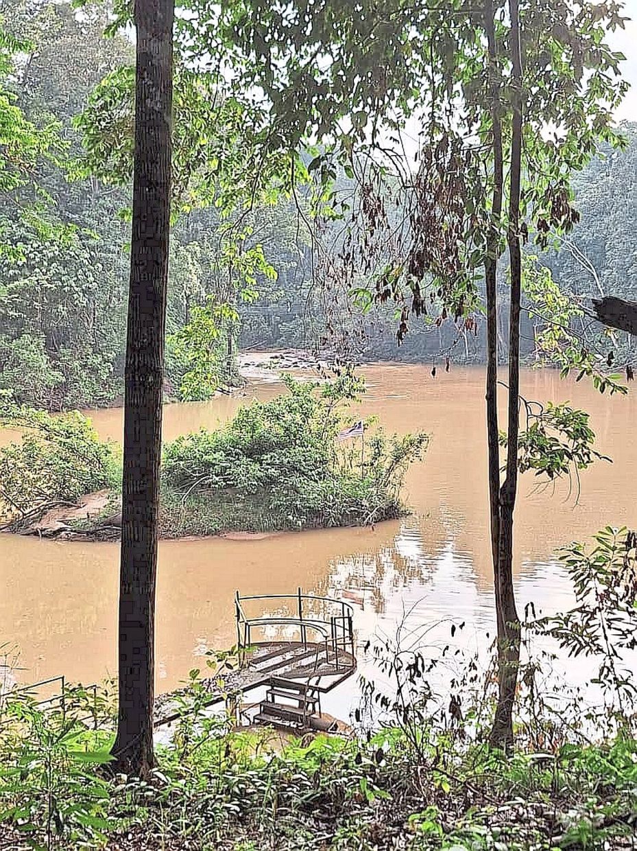 Tranquility in immense doses within Taman Negeri Rompin. — VICKY OOI/The Star