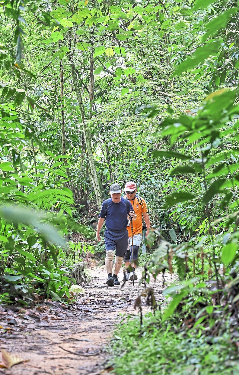 Walkers on a hiking trail at Bukit Kiara. — File photo
