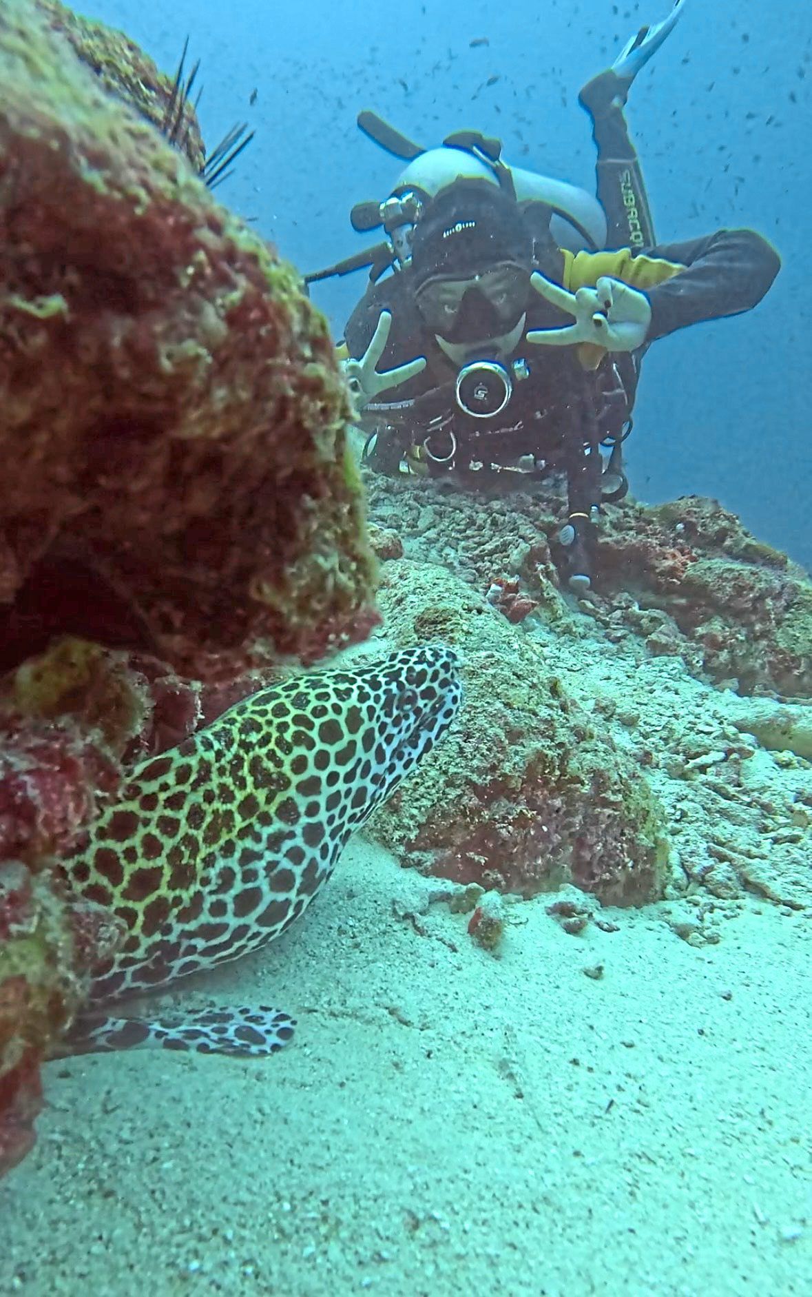Brave plunge: Srimanimegala said watching other divers inspired her to obtain her own diving licence, while a trip to Sri Lanka introduced her to the joys of surfing. — Photos courtesy of Srimanimegala