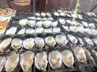 Exploring Perth's vibrant blend of sports, cuisine and culture