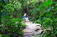 Too close for comfort: Proposed condo in TTDI raises concerns of damaging Bukit Kiara ecosystem