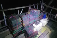 MMEA seizes 245 protected animals in Batu Pahat raid