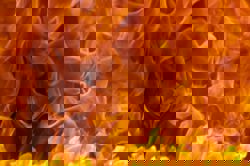 House fire kills five in Indonesia's Jakarta