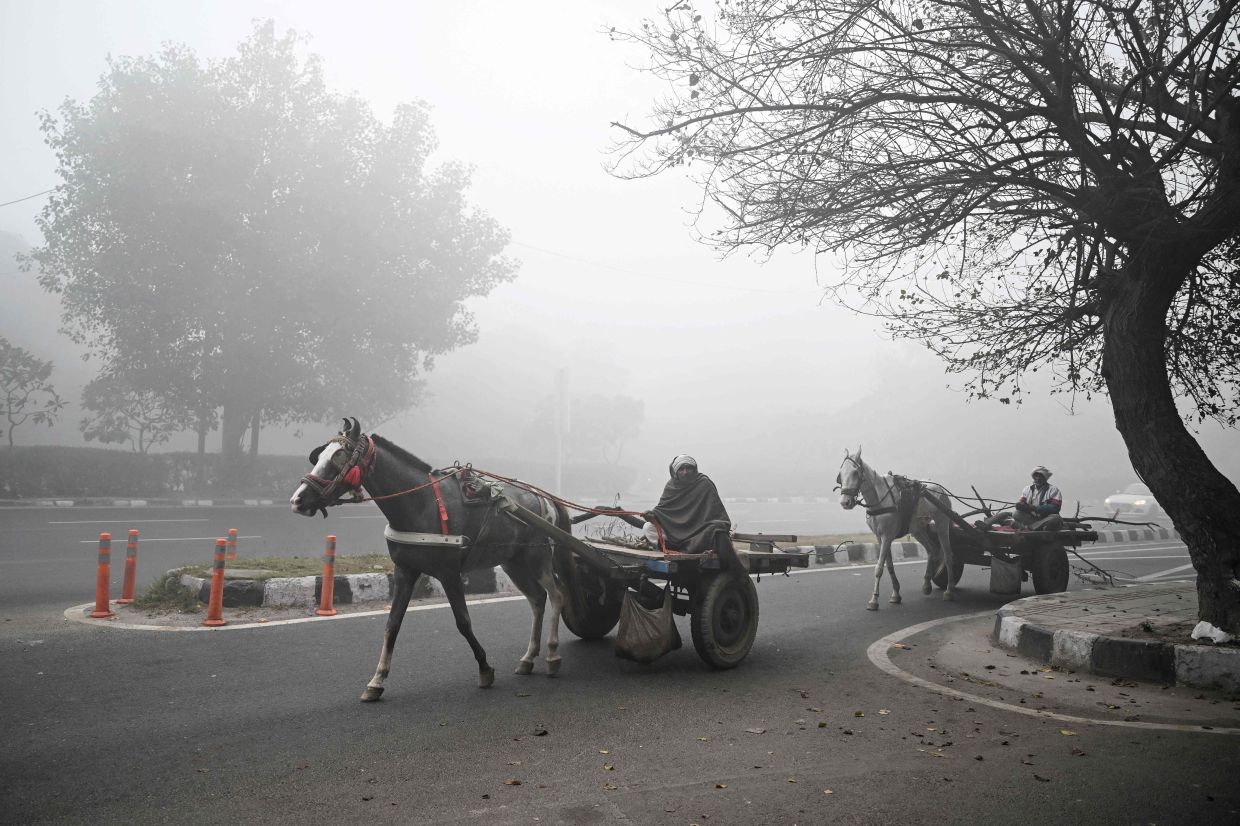 People ride horse-drawn carts amid dense smog in New Delhi on December 20, 2025. -- Photo by Arun SANKAR / AFP
