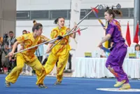 Wushu seek more coaches as they aim for bigger haul at Asiad