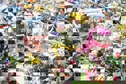 Bondi bloodbath and Gaza genocide