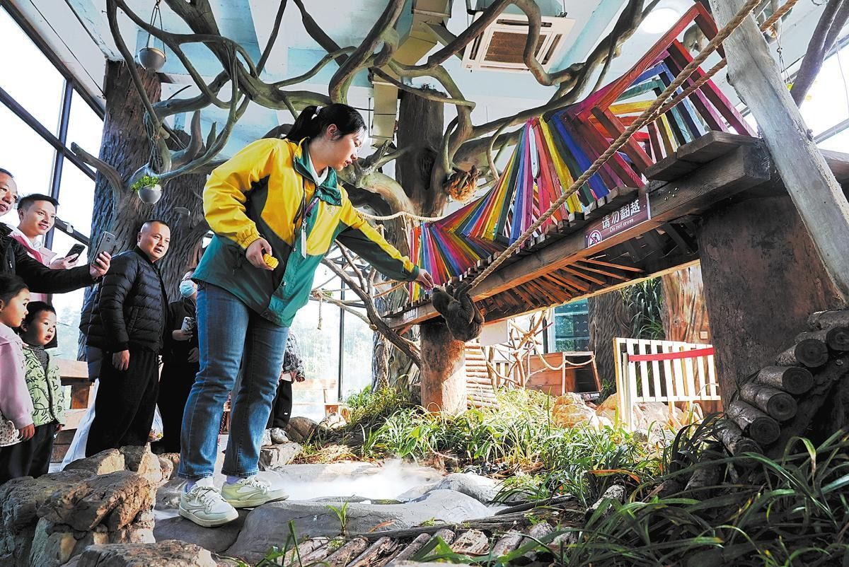 China zoos keep animals warm to protect against winter chill