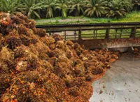 Indonesia operations set to lift United Malacca