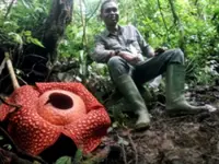Rafflesia’ or ‘padma’? Debate renewed over renaming of flower