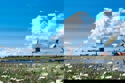 On this little Dutch island, nature and food come together