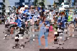 Alleged Bondi shooters conducted 'tactical' training in countryside, police say