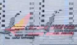 Air India 777 aircraft turns back after drop in engine oil pressure, says regulator