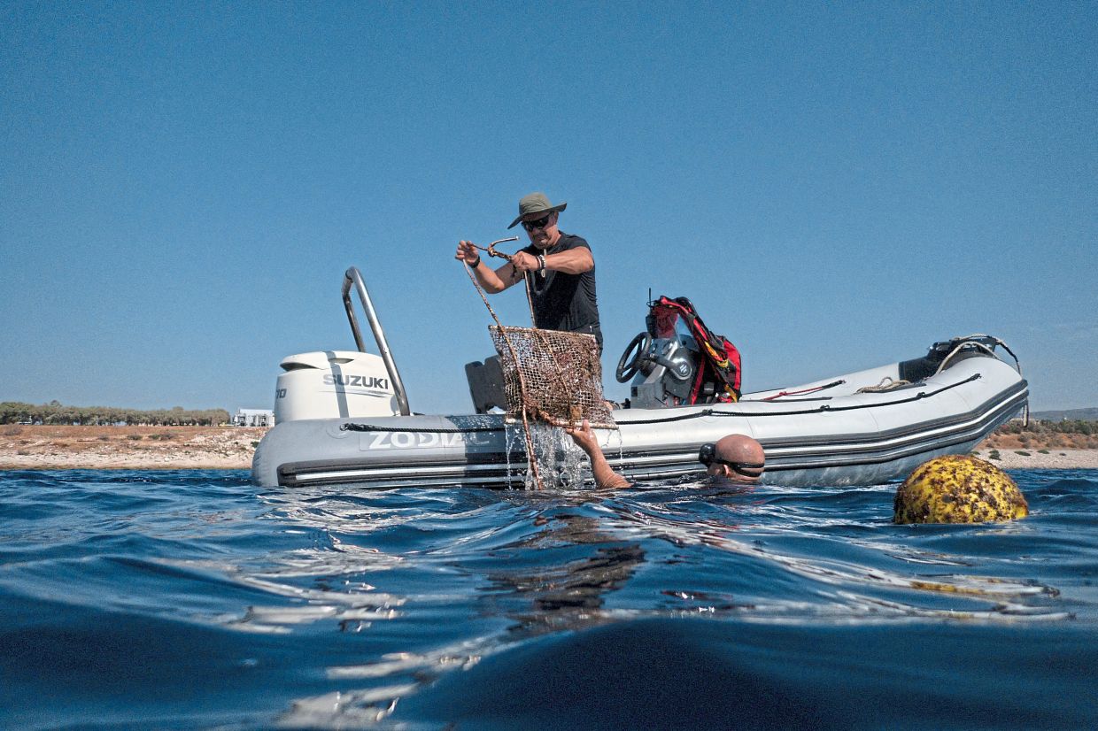 How much plastic is lethal for marine life? Less than you think, study says