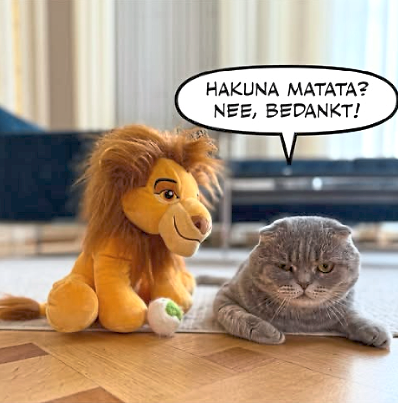 Meet Maximus, the Belgium Prime Minister's famous cat who is going viral