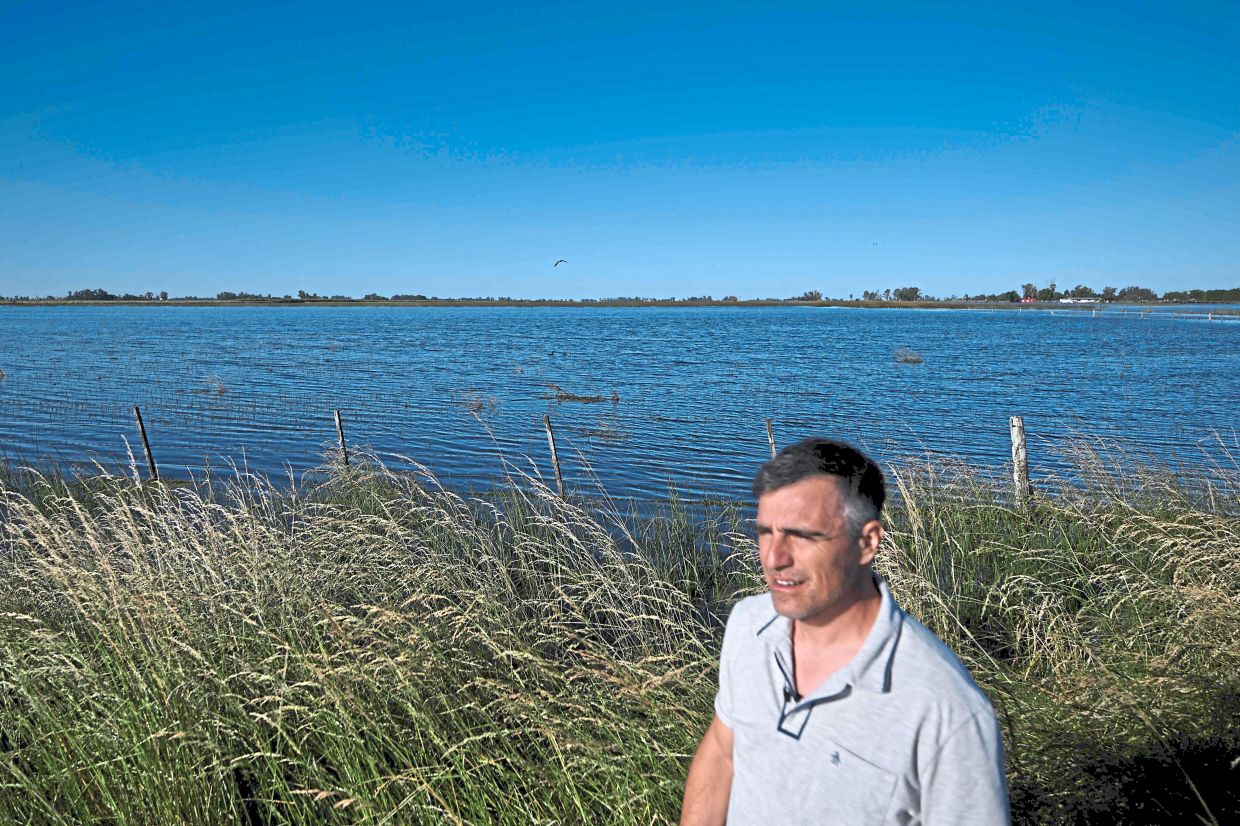 A man stands in a flooded field due to heavy rains in 9 de Julio, Buenos Aires province, Argentina on November 5, 2025. (Photo by Luis ROBAYO / AFP)