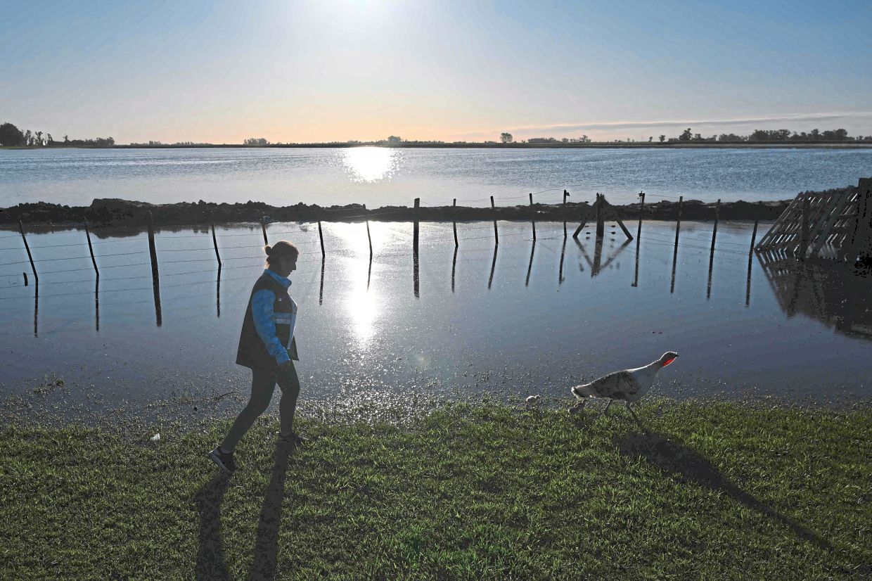 A woman walks behind turkeys on her flood-affected farm.