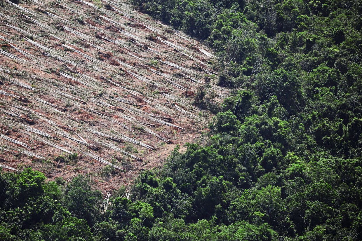 An aerial view shows a deforested plot of the Amazon. — Photos Reuters