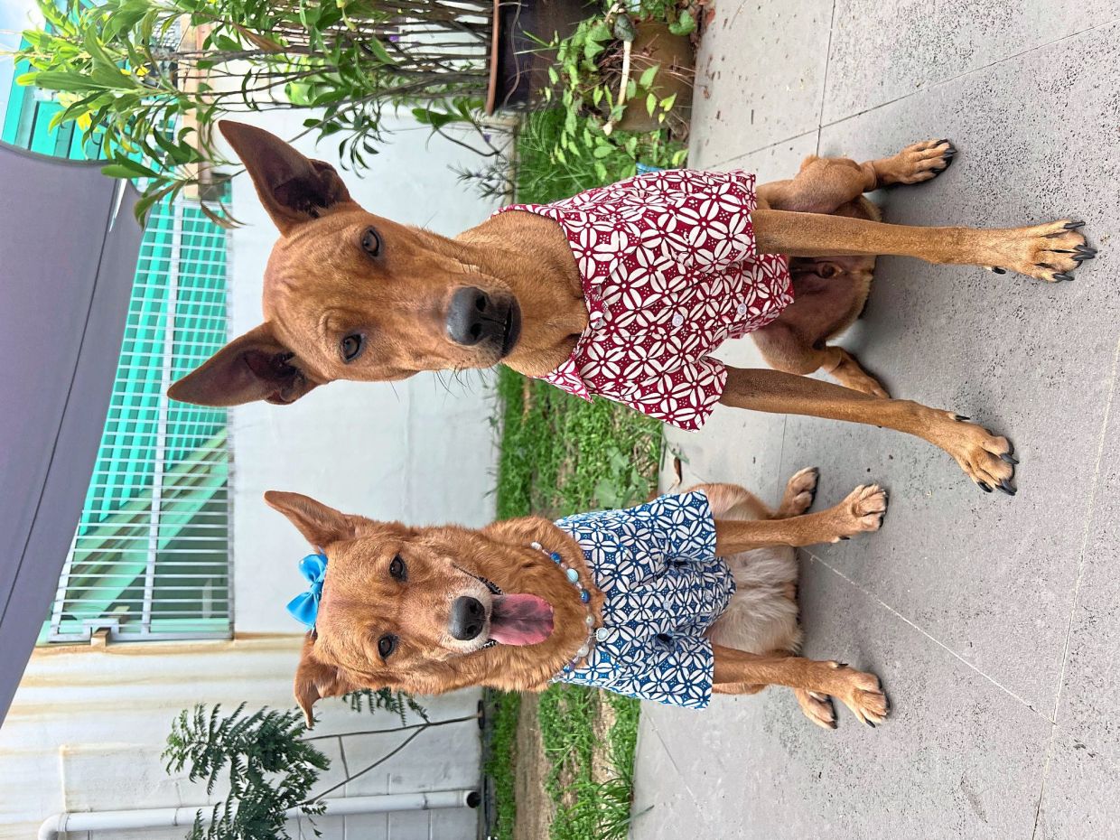 Xena (right) looks innocent but she tricks Kratos regularly. — Photos: JACQUELINE BENITA PAUL