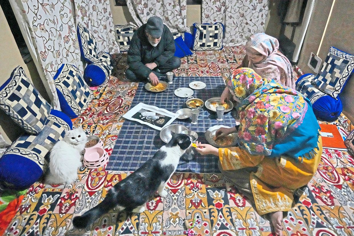 A Kashmiri family eats dinner with their pet cats sitting beside them inside in Srinagar, Indian controlled Kashmir, Feb. 12, 2025 (AP Photo/Mukhtar Khan, File)