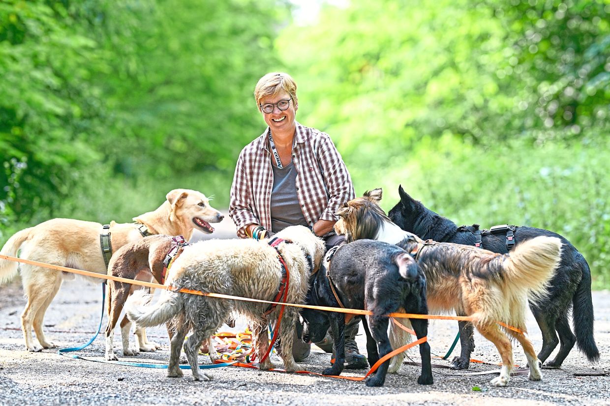Inside the world of a dog walker: It's more than just walks in the park