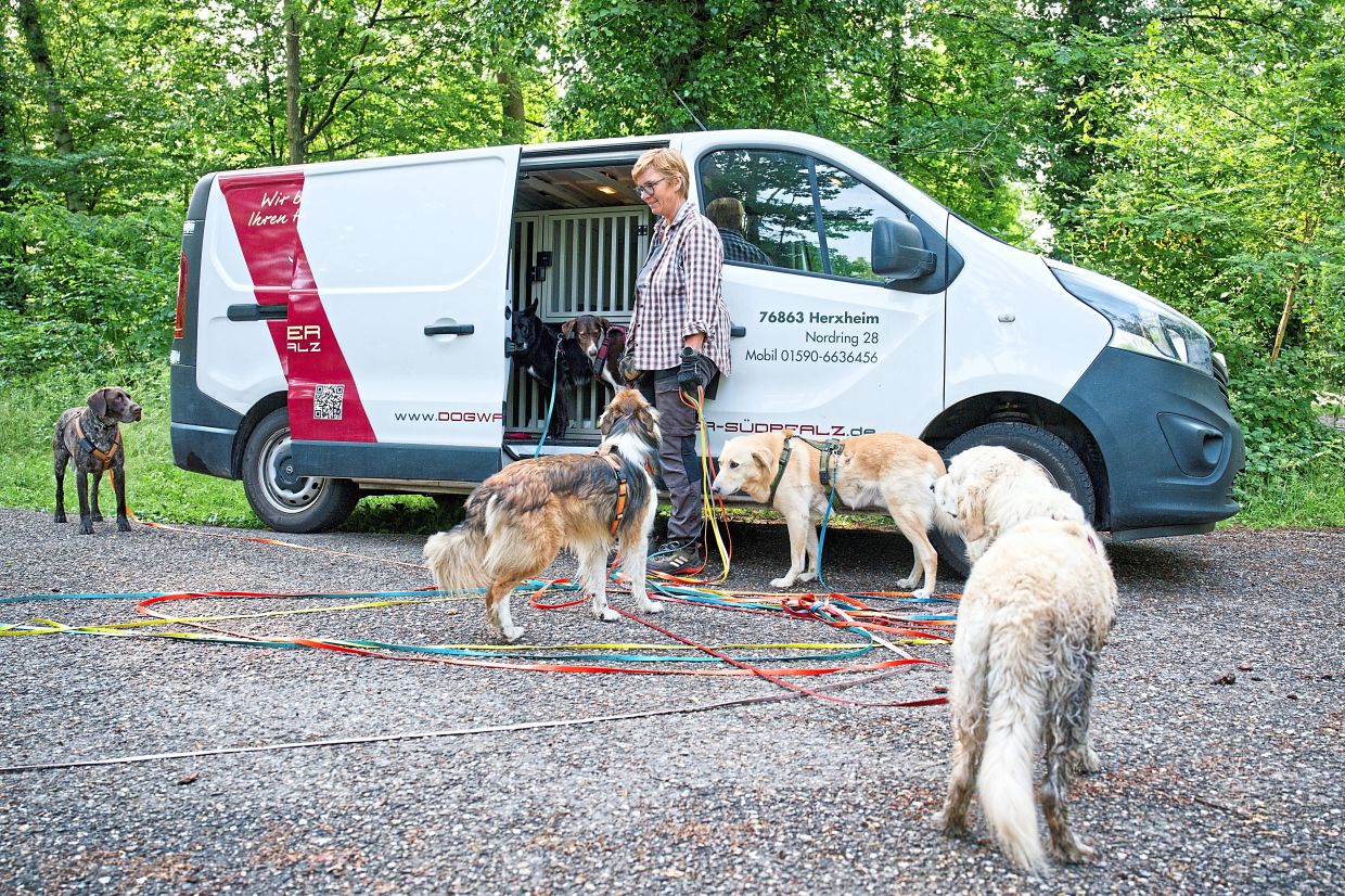 Reddmann's clients get ready for their latest outing. 