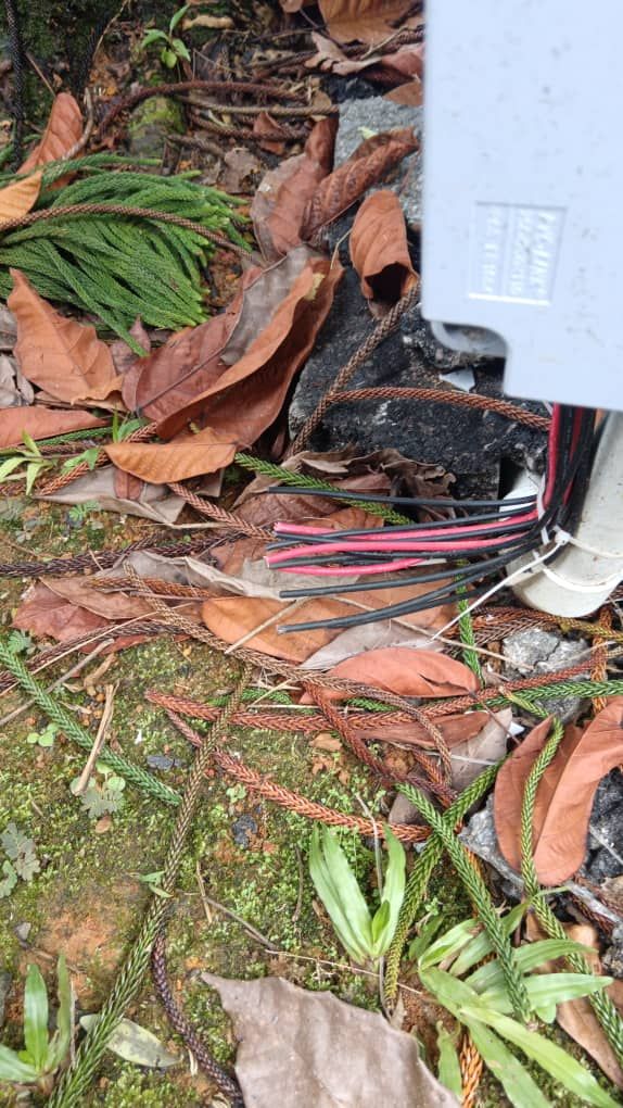 The cut electrical cables at La Promenade.