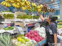 Inflation up 1.4% in November, below expectations