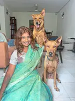 Dog Talk: Wild wolf's crab heist fuels debate about how intelligent dogs are