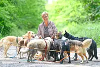 Inside the world of a dog walker: It's more than just walks in the park